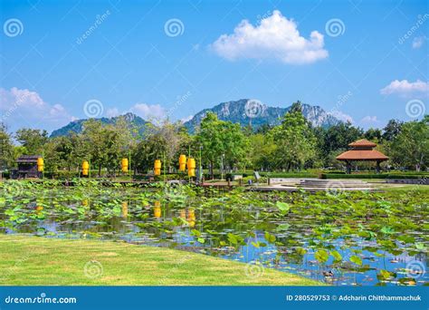 สวนเฉลิมพระเกียรติ 80 พรรษา! อัญมณีแห่งความงามและการพักผ่อนท่ามกลางธรรมชาติอันเขียวขจี